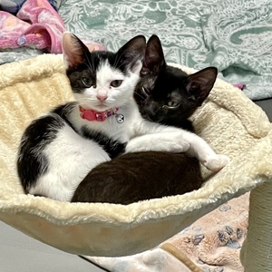 Fundraising Page: Marianne Rhodehamel